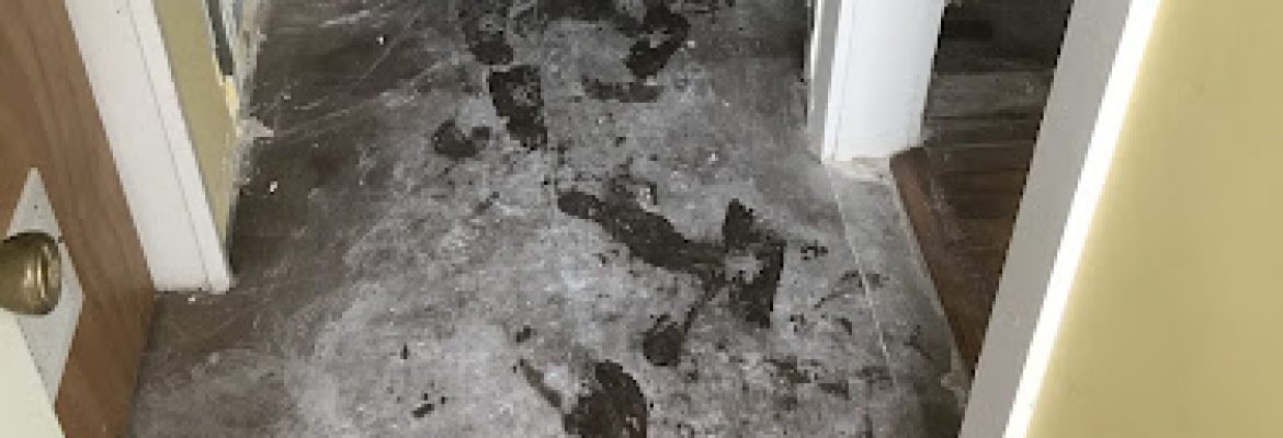 Oddjobs Handymen llc