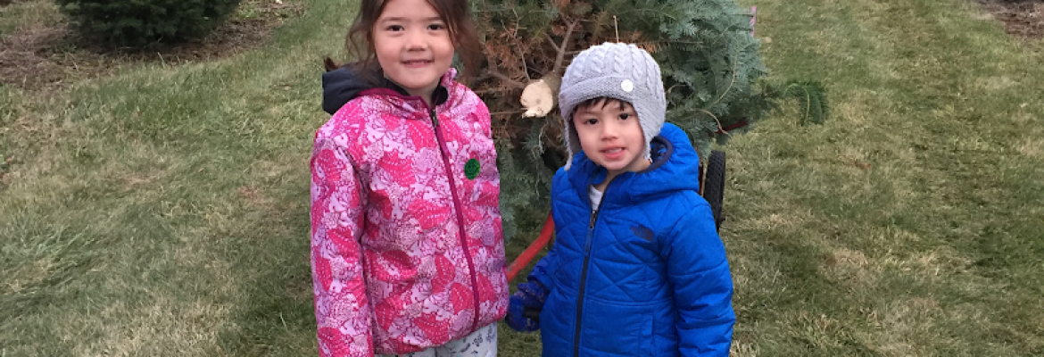 Hansen Family Tree Farm LLC
