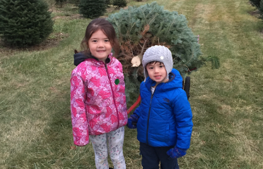 Hansen Family Tree Farm LLC