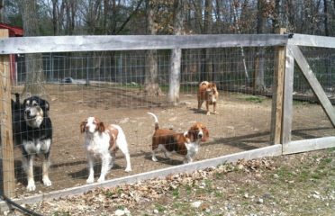 Morning Star Farm Pet Resort