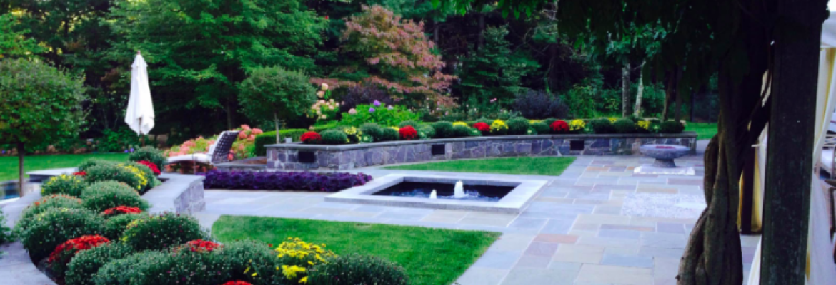 Perfect Plantings, LLC