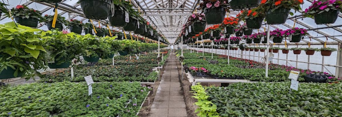 Tower Farms of Cheshire