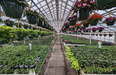 Tower Farms of Cheshire