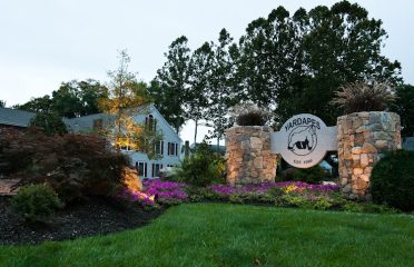YardScapes Landscape Professionals