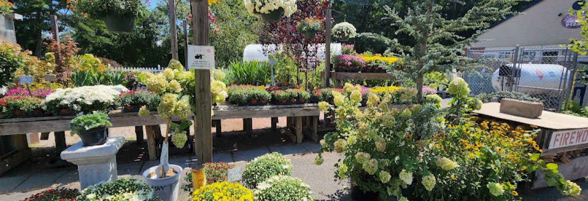Bosco’s Garden Center