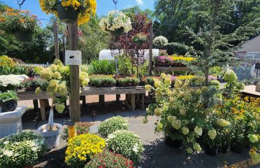 Bosco’s Garden Center