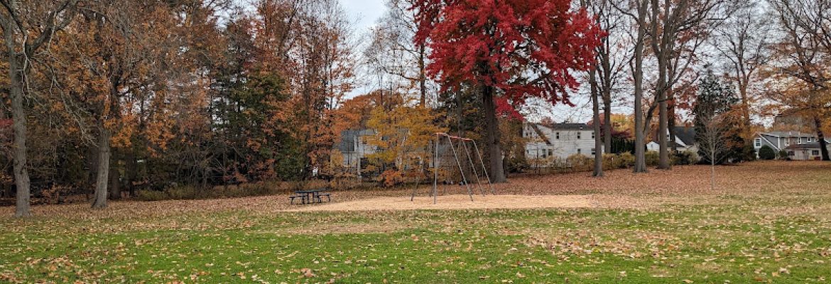 West Hartford Beechland and Dog Parks