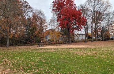 West Hartford Beechland and Dog Parks