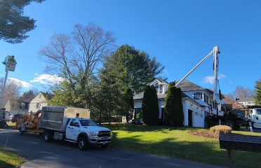 Trout Brook Arborists