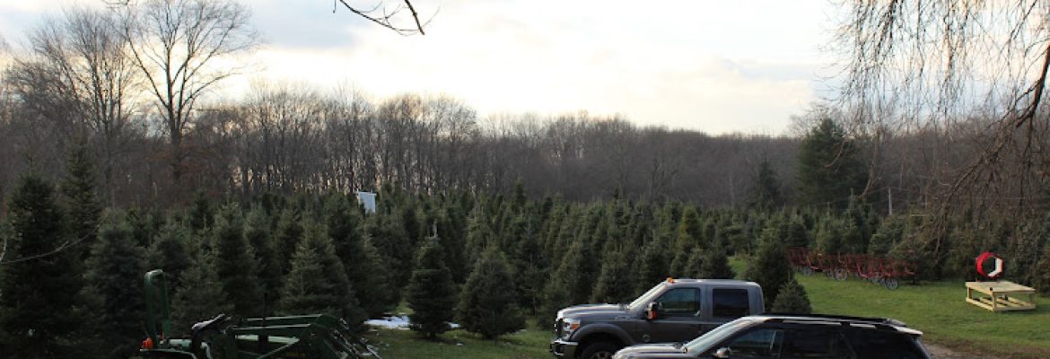 Heatherly Tree Farm