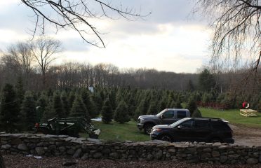 Heatherly Tree Farm