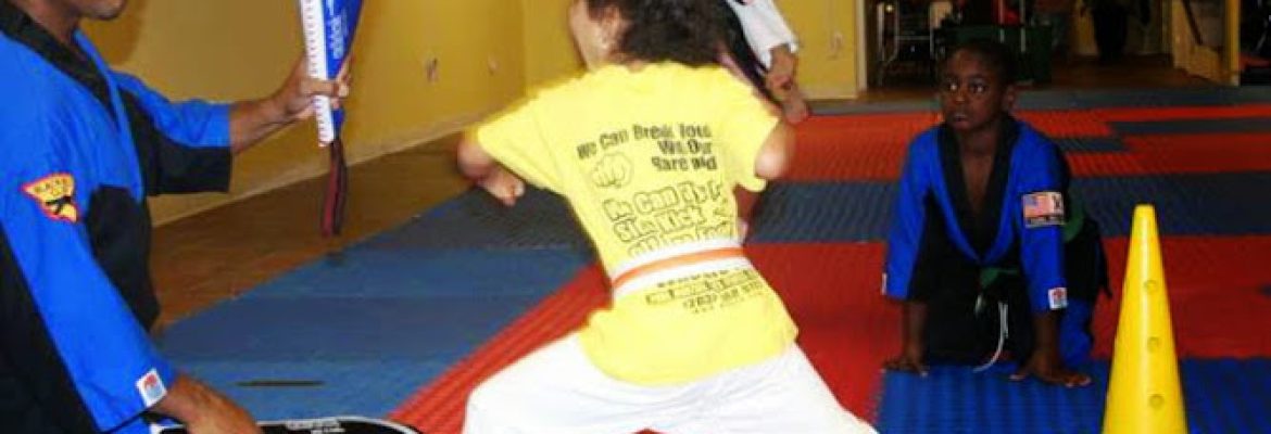 Pure Martial Arts Fitness Academy