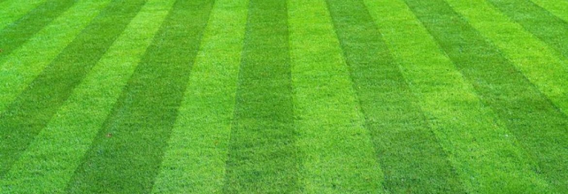 Smith Property Services
