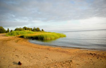 Shoreline Financial Group LLC