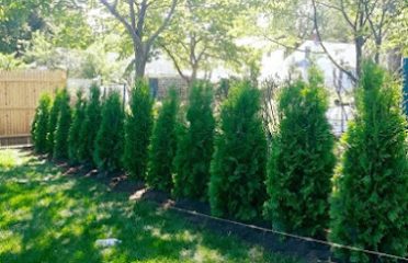 Independent Arborists and Consultants LLC