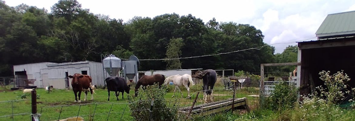 Hope Farm Animal Sanctuary