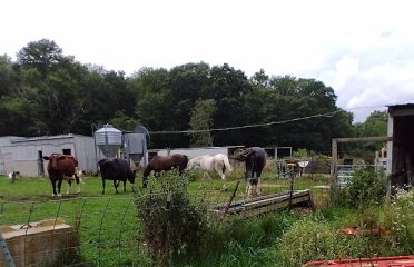 Hope Farm Animal Sanctuary