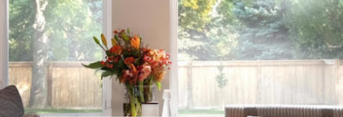 Bumble Bee Blinds of Fairfield County