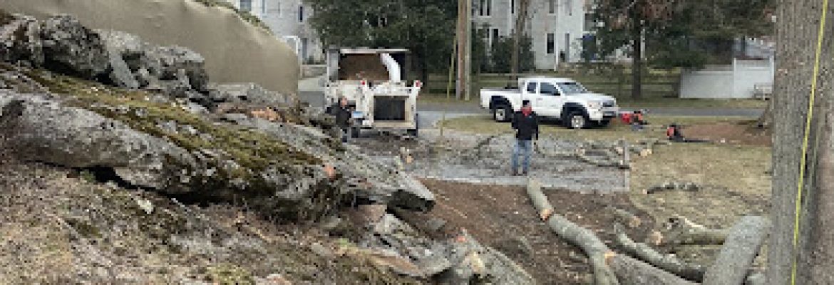 JS LANDSCAPING