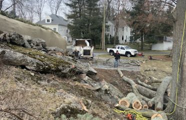 JS LANDSCAPING