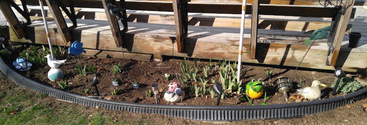Valley Farms, LLC