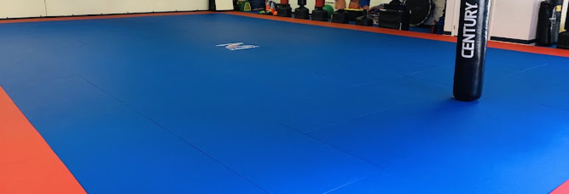 Styles United Transformative Martial Arts