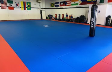 Styles United Transformative Martial Arts