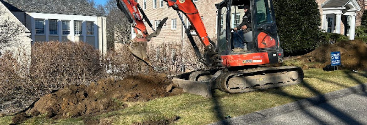 Fred N Durante Jr Construction Services LLC