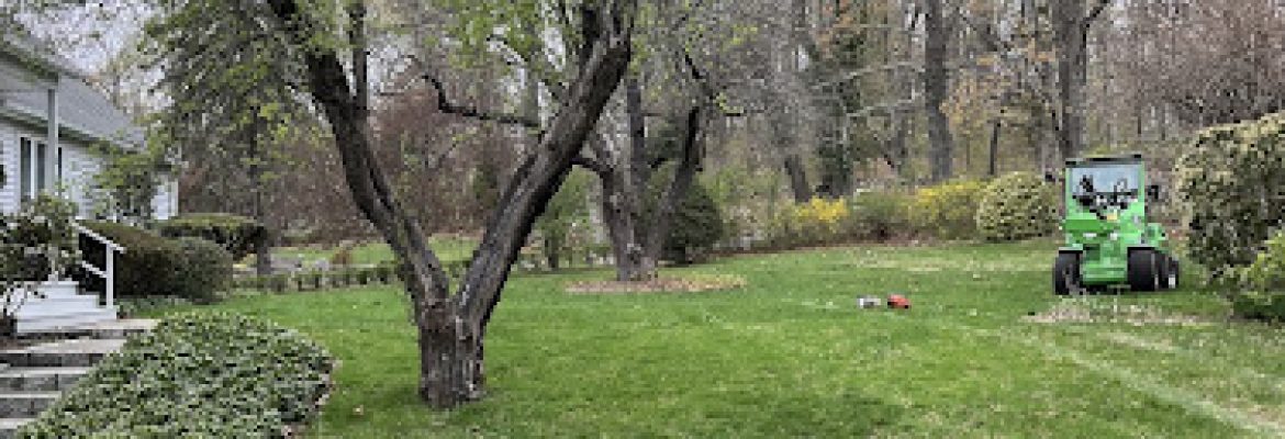 C QUITO LANDSCAPING LLC