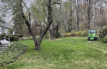 C QUITO LANDSCAPING LLC