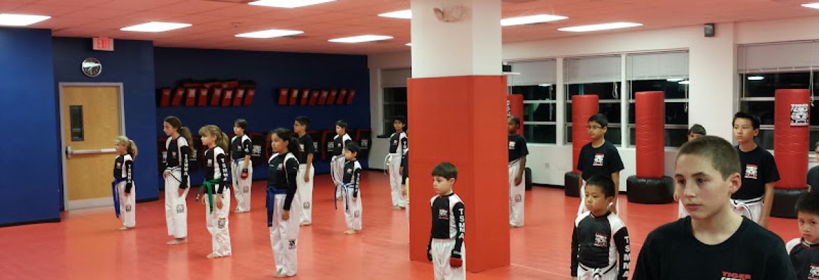Tiger Schulmann’s Martial Arts (Stamford, CT)