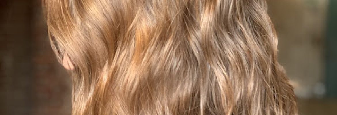 Wild Love Hair Studio