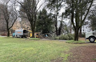 Grimshaw Tree Service