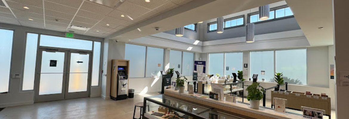 Curaleaf Dispensary Manchester