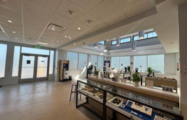 Curaleaf Dispensary Manchester
