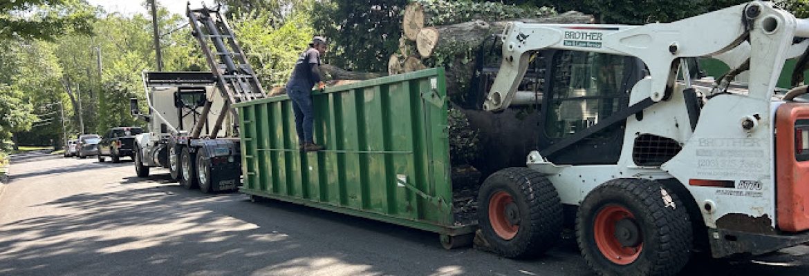 Brother Tree & Lawn Service