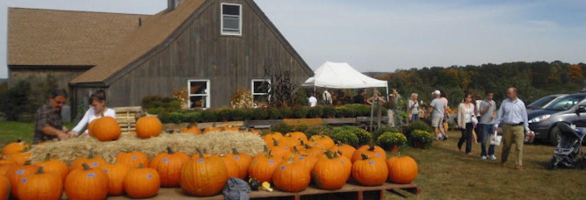 Averill Farm