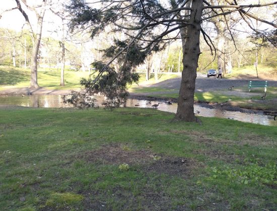 Hamilton Park