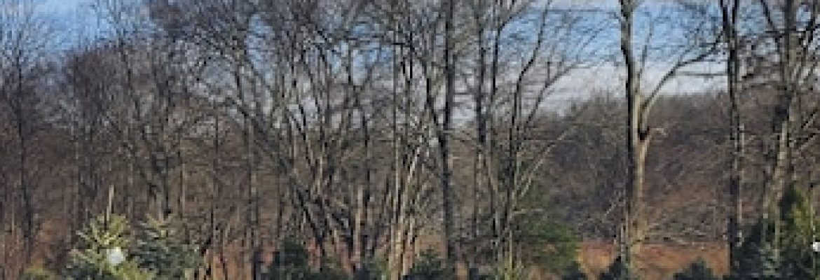 Humming Grove Farm
