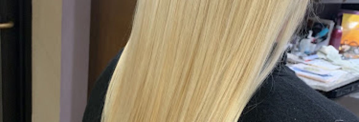 Aneeta Li Salon LLC