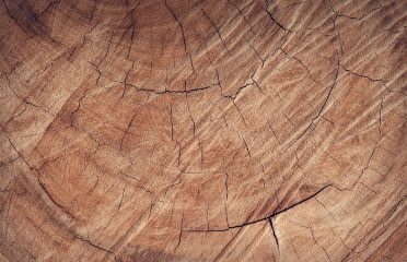 Holzbecher, LLC