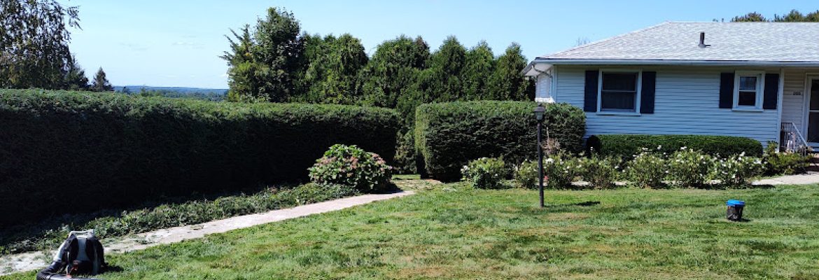 Al’s Tree and Shrub Care