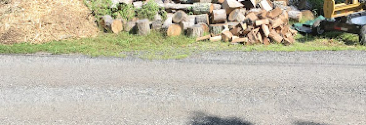 Flynn Tree Services, LLC
