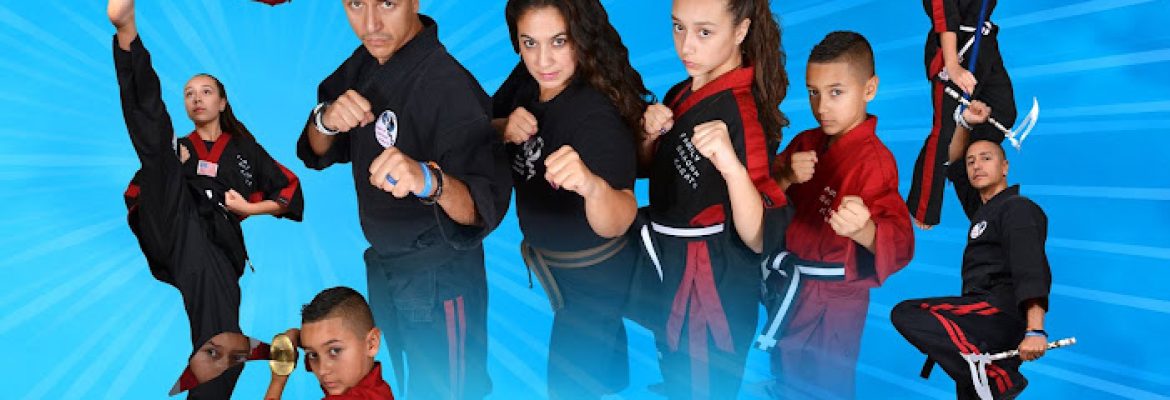 Family Dragon Martial Arts and Fitness Academy