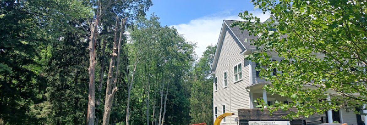 Jose Salinas Tree Service