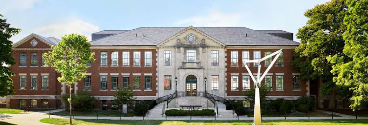 Graduate by Hilton Storrs