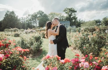 Love, Jackie Weddings