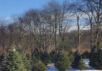 Humming Grove Farm