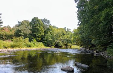 Mine Hill Preserve