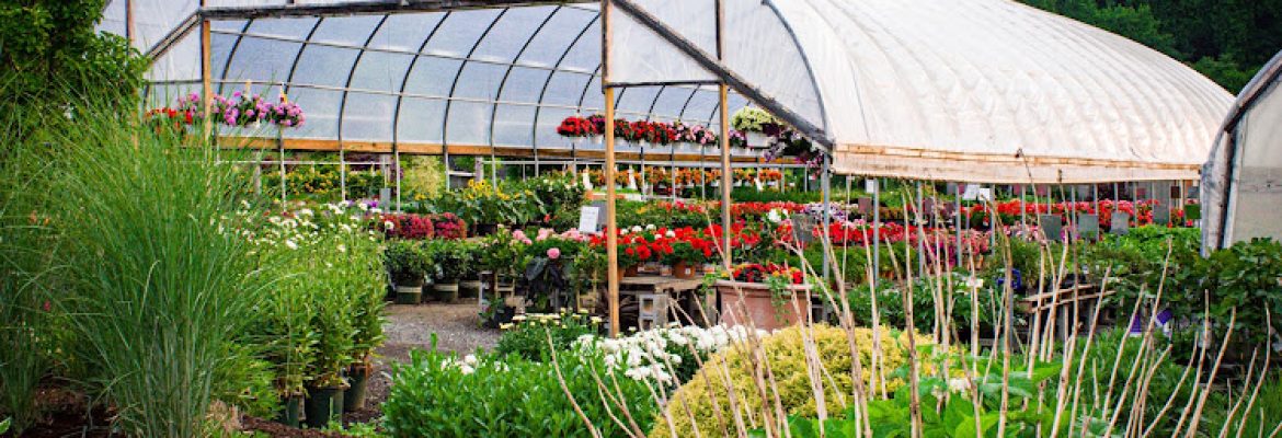 Cosmo’s Landscaping and Nursery